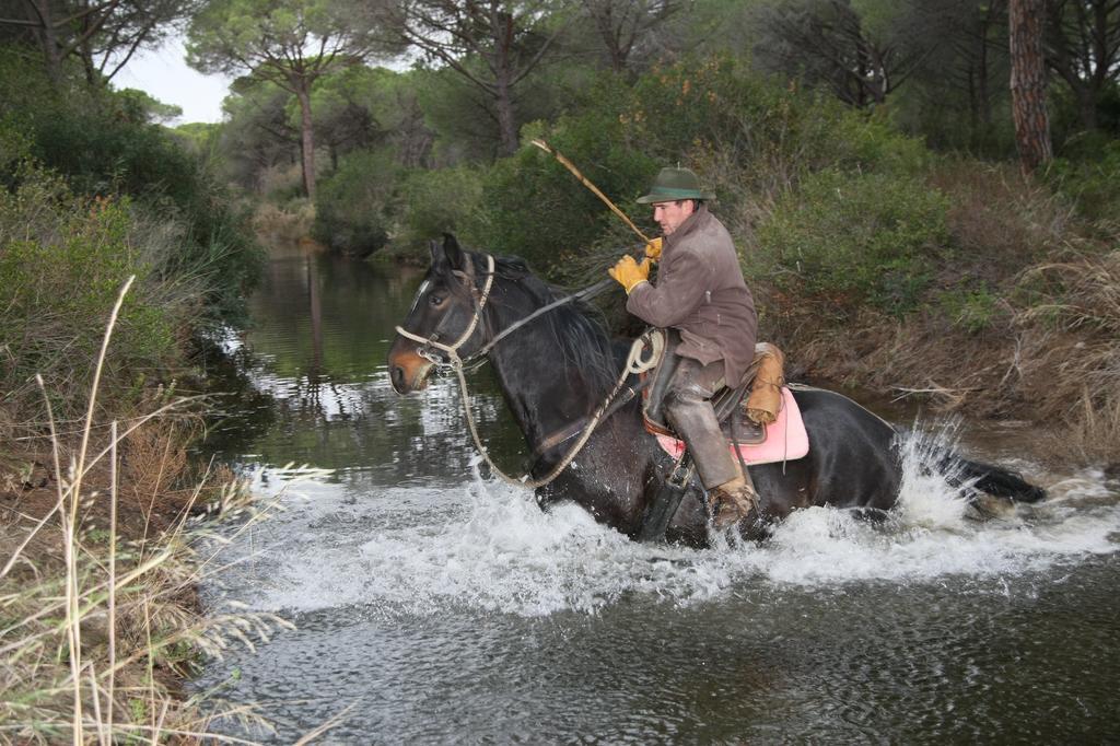 Country Resort Le Due Ruote Alberese Luaran gambar